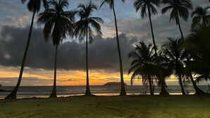 Una playa con palmeras y una puesta de sol.