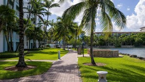 A pathway leading to a building with a water feature and palm trees.
