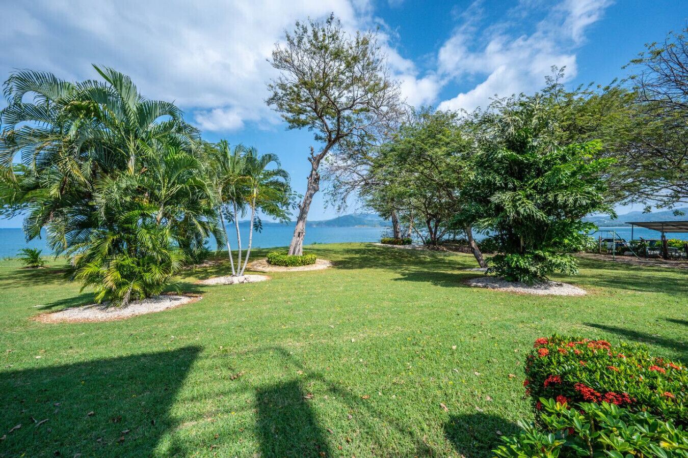 Un jardin bien entretenu, agrémenté de divers arbres, offrant une vue dégagée sur la mer et doté d’une pelouse verdoyante.