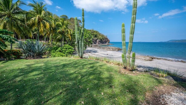 Paisaje costero con cactus, palmeras y una playa.