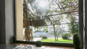 A window with a view of a tree and a cactus outside. - Amazing home in Lussan (Lussan)