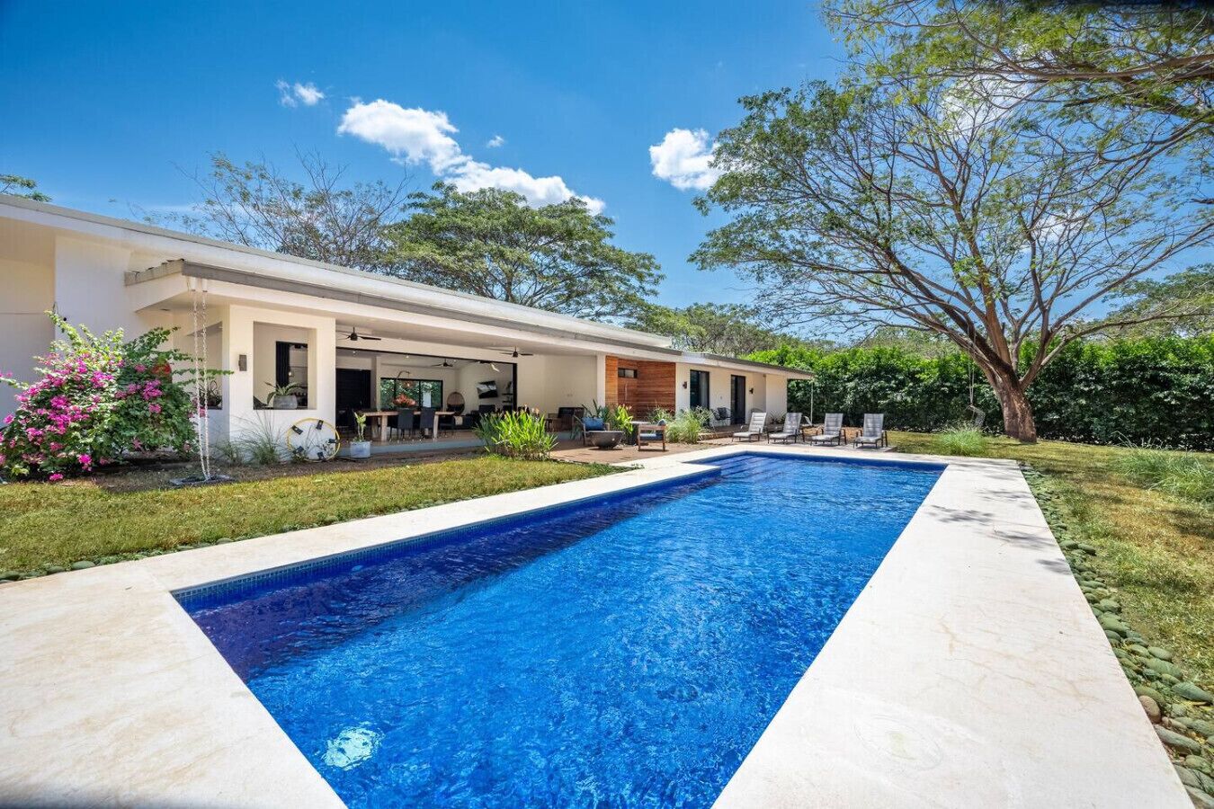 Une maison moderne dotée d’une piscine, d’un espace salon extérieur et d’une végétation luxuriante.
