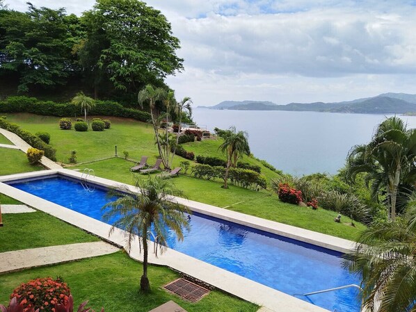 Pool - Oceanfront Condo with Pool & Stunning Views (Playa Flamingo)