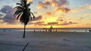 Una playa con una palmera, un velero y gente a lo lejos.