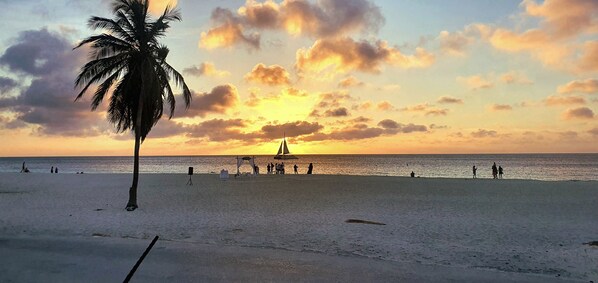 Beach - Tus vacaciones en tu apartamento 5 estrellas, te sentiras como en casa (Oranjestad)