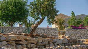 Um muro de pedra com uma árvore em primeiro plano, um cacto e um edifício com fachada de pedra ao fundo.