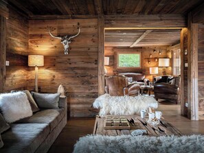 Télévision, cheminée, chaîne hi-fi