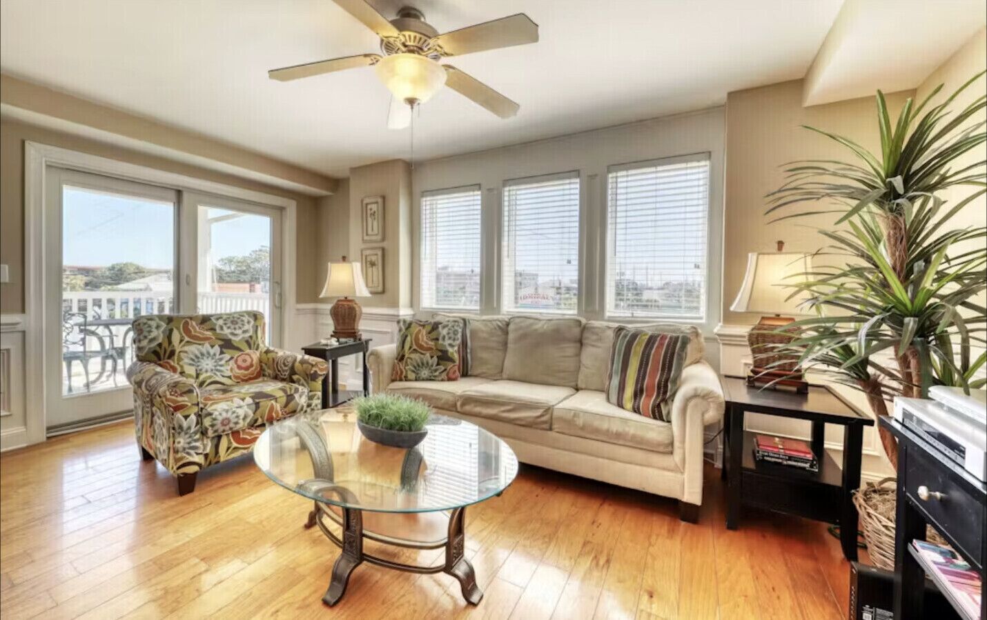 电视、DVD 播放器