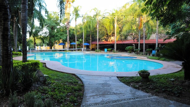 A swimming pool with a curved edge, surrounded by lush greenery and palm trees. - Campestre La Fuente  (Monterrey)