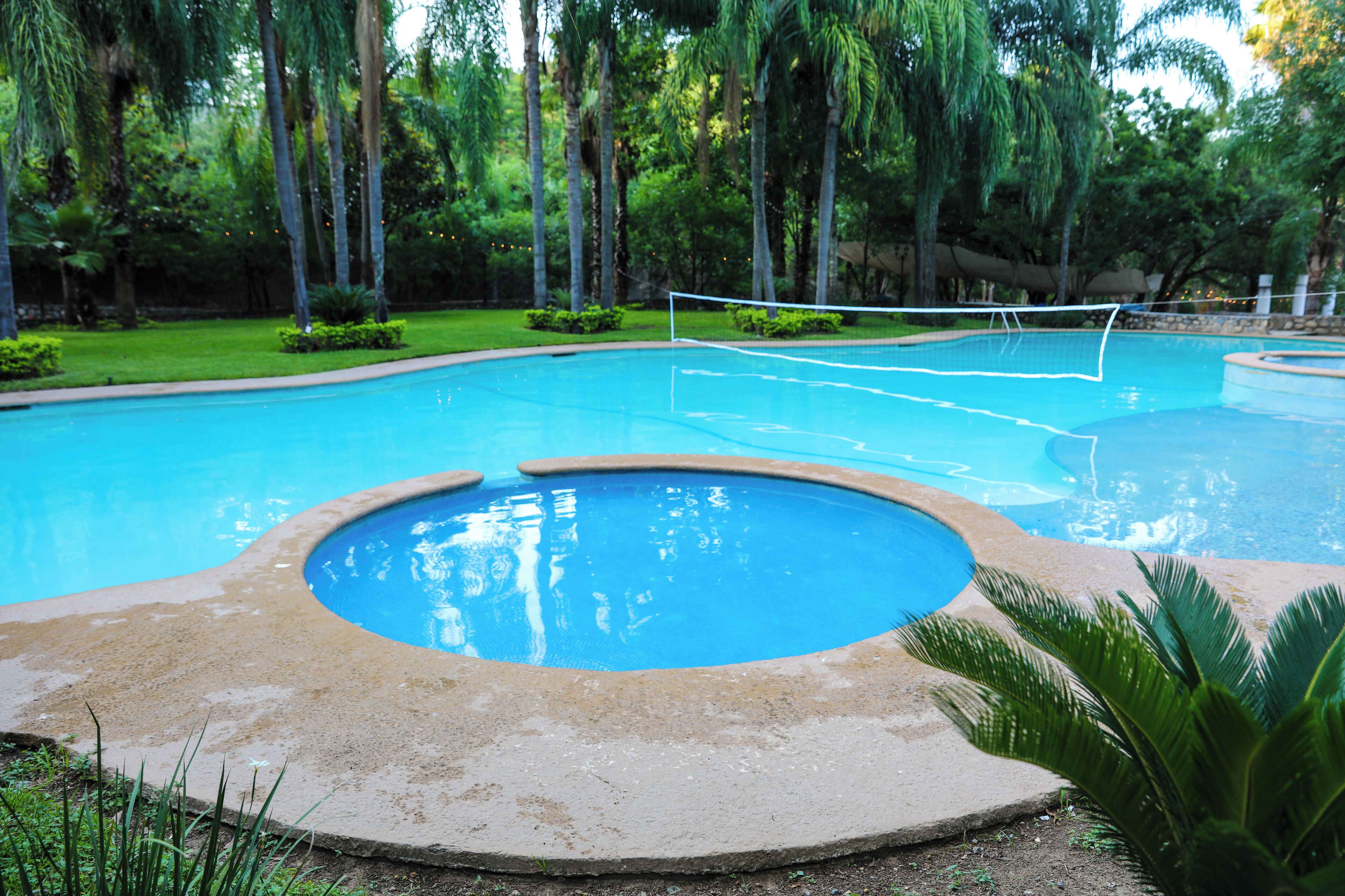 Una piscina con una sección circular pequeña, rodeada de palmeras y follaje.