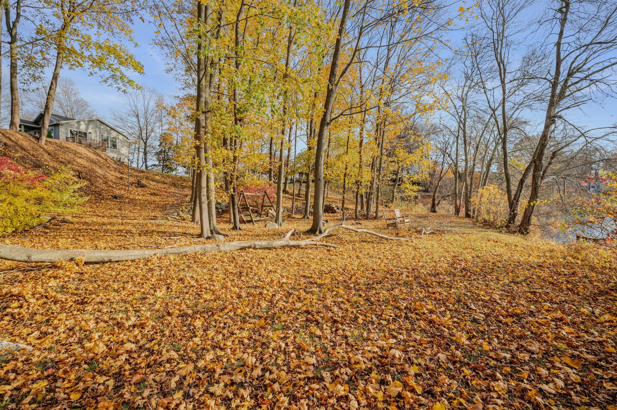 A park with a pathway, trees, and a building in the background.