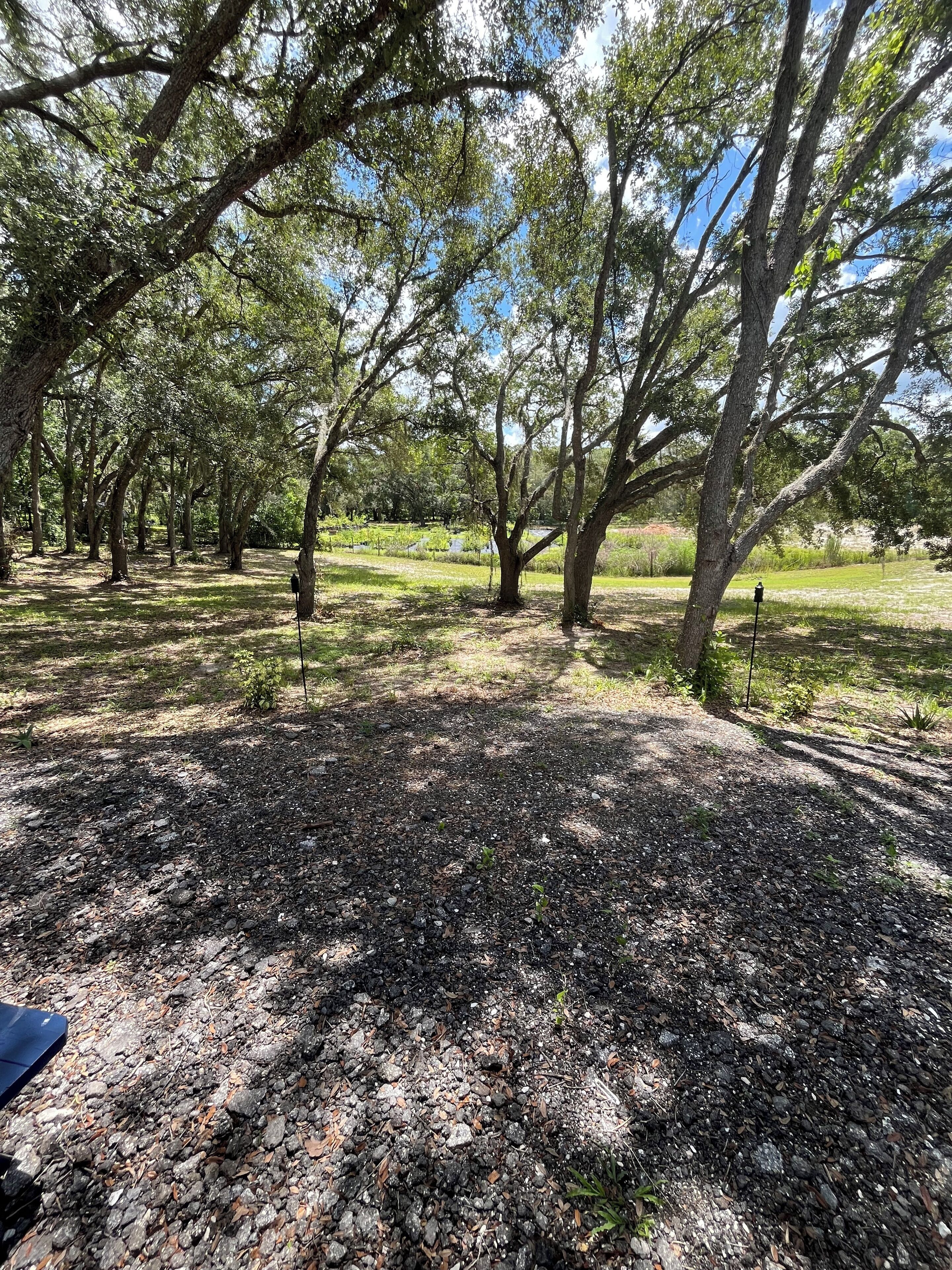 A campground with trees and a gravel path.