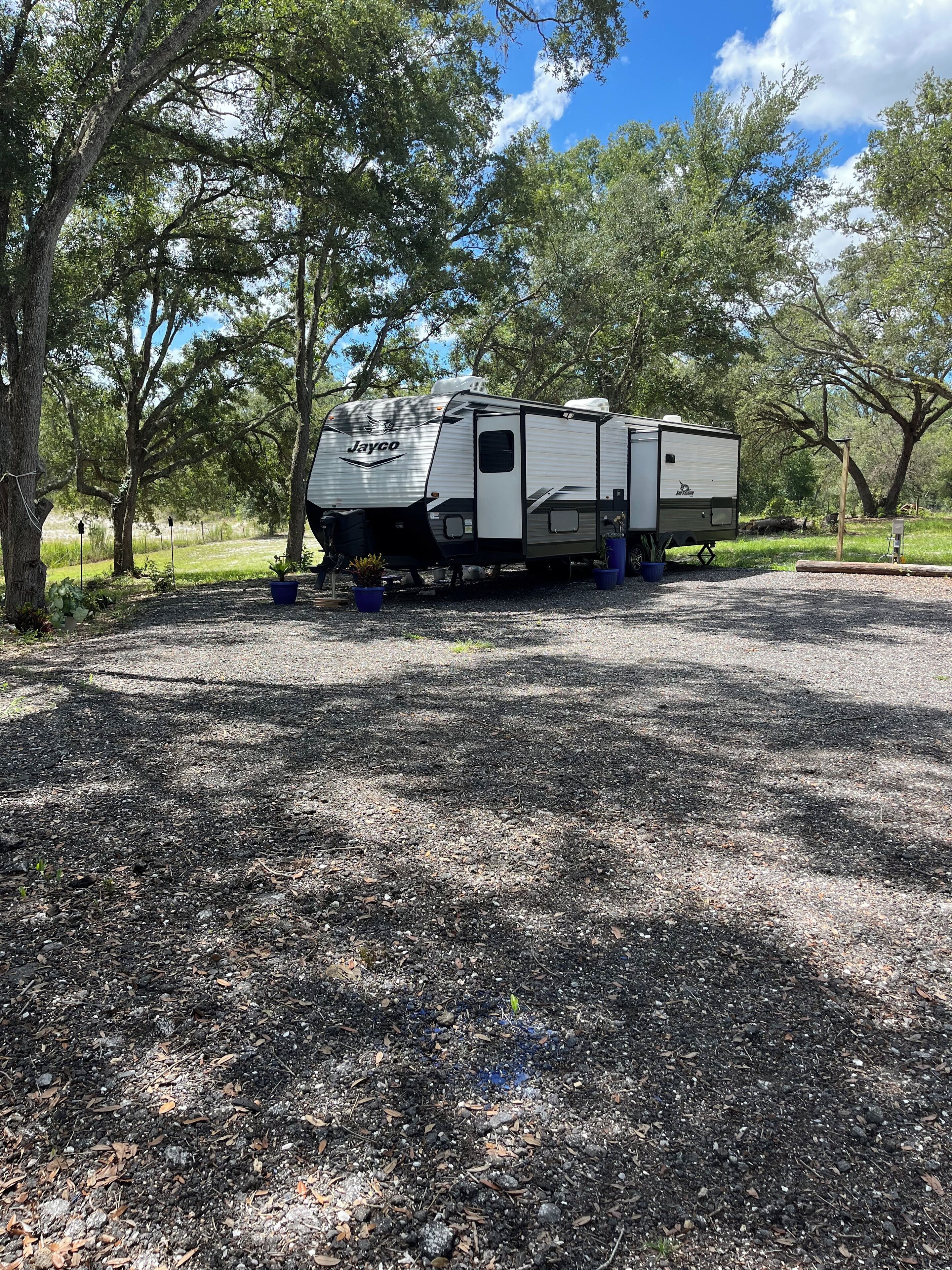 Una caravana Jayco estacionada en un camping, con árboles y cielo despejado.