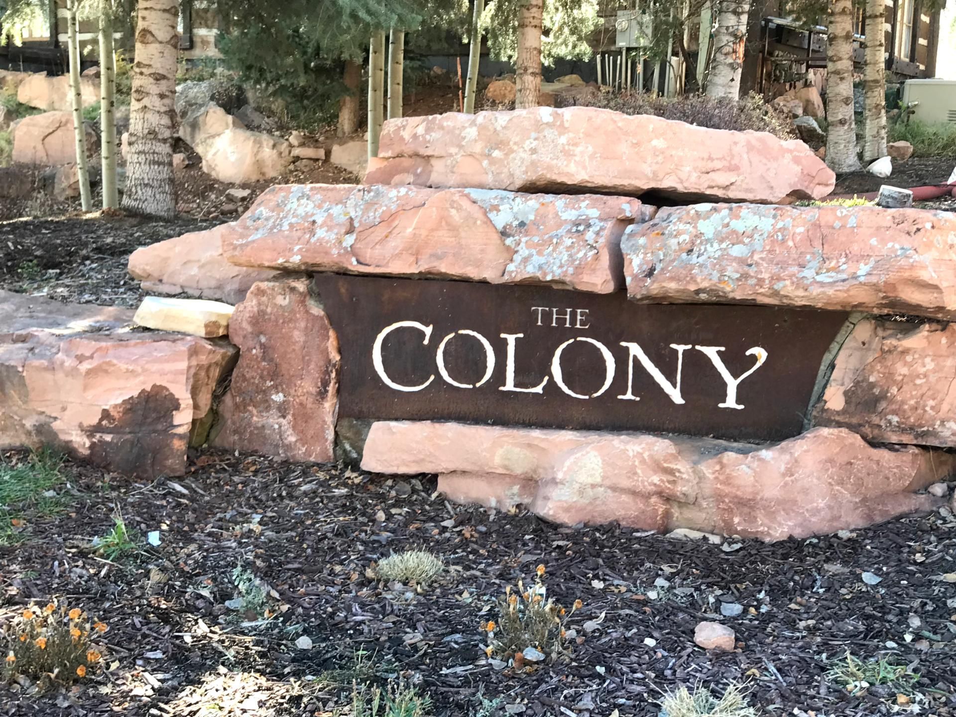 Un letrero de piedra con la inscripción "THE COLONY", rodeado de rocas y mantillo.