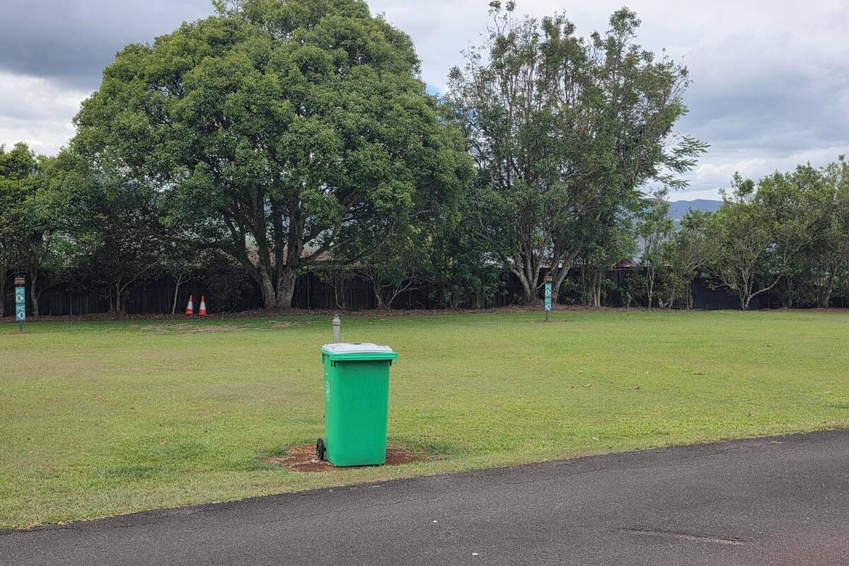 Zona verde con un bote de basura y una carretera al frente.