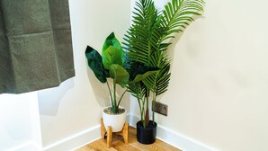 A corner with a wooden floor, a white wall, and two potted plants. - Luxury 2-Bedroom Apartment on Iconic Baker Street | Central London (London)