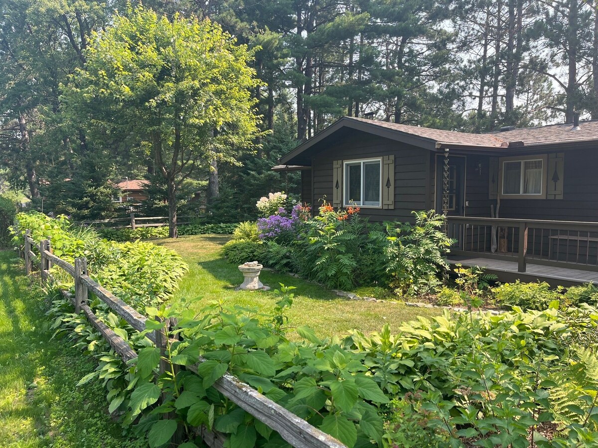 Imagen de perfil del propietario o de la propietaria