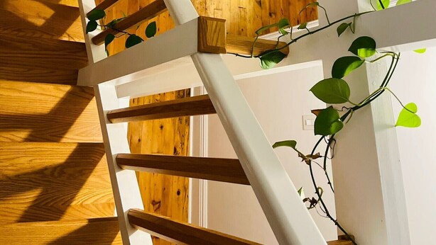 Una escalera de madera con barandillas blancas y una planta que crece a lo largo de la pared.