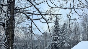 Paisatge nevós amb una cabana de fusta i un arbre cobert de neu.