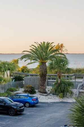 Property grounds - The Island Breeze - 100 Yards from Beach! (Tybee Island)