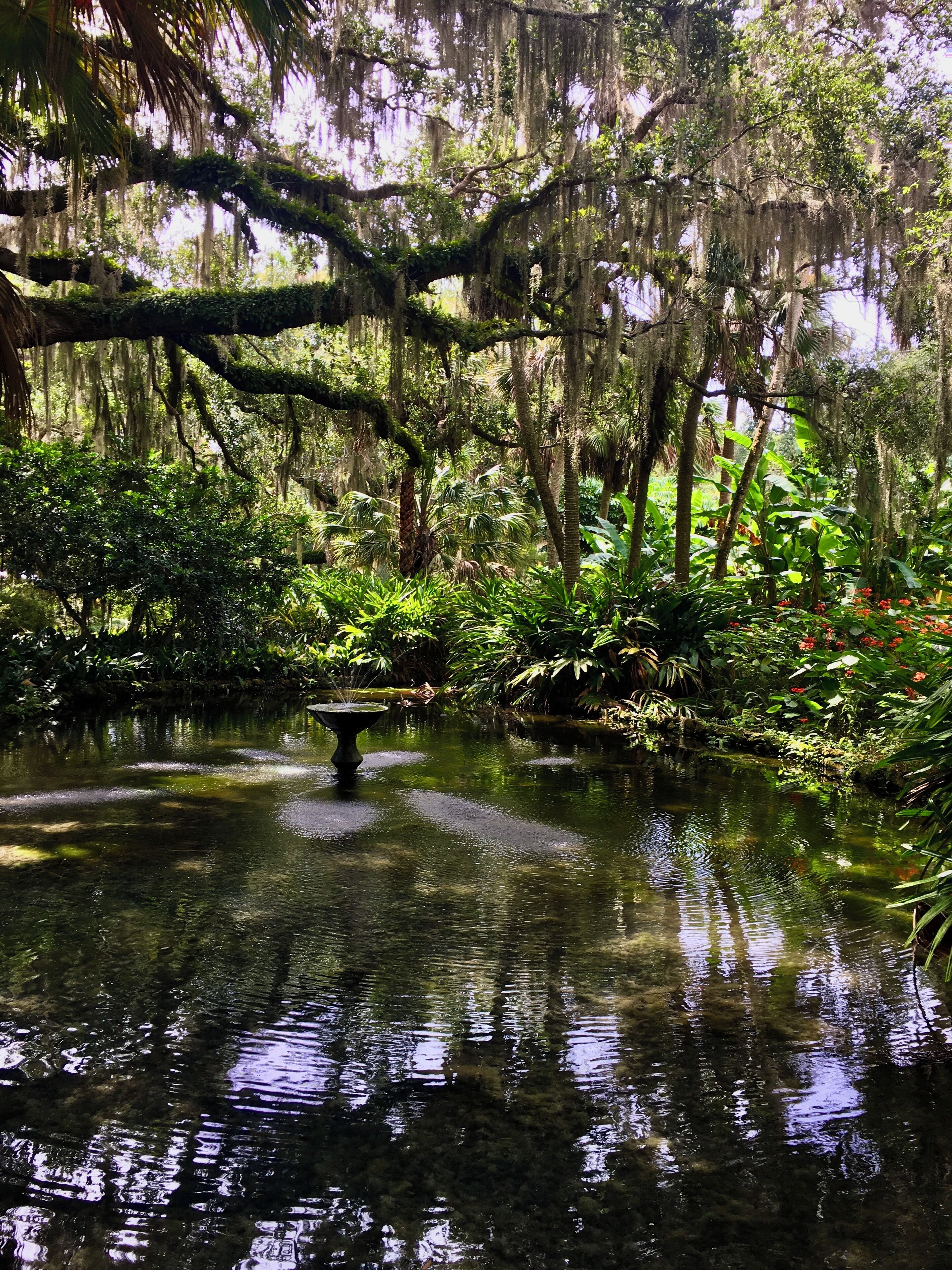 Washington Oaks State Park Gardens