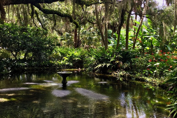 Washington Oaks State Park Gardens