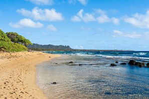 Nära stranden