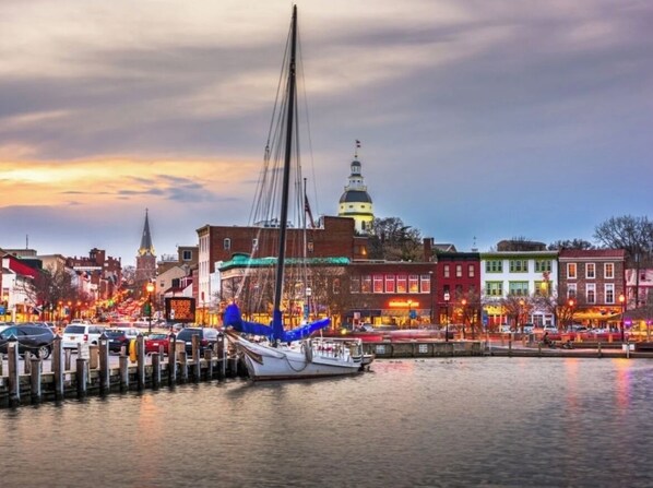 Marina - Winter Escape near Downtown, Firepit + Bar, Sleeps 12, Pets Welcome, Parking (Annapolis)