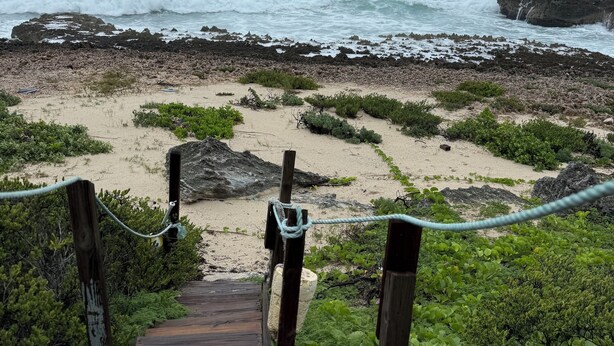 Unclassified image, 1 of 63, button - Cottages at Pete's Pub (Little Harbour)