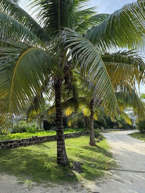 Barnacles, Entire Cottage - 2 Bedrooms | Terrace/patio