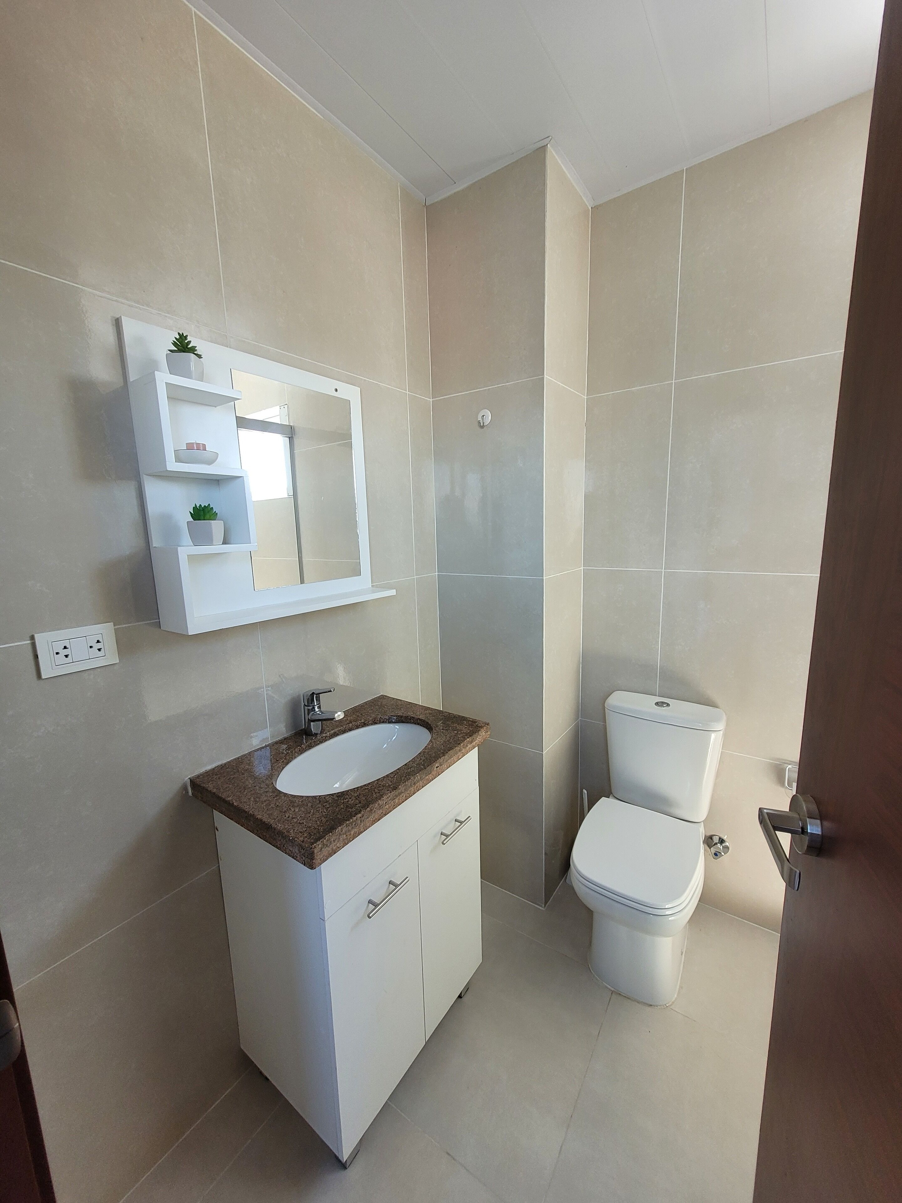 Un baño con tocador blanco, espejo, inodoro y repisa con plantas.