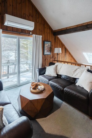 Smart TV, fireplace, video games, books