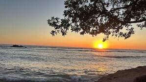 Escena de playa con un atardecer, olas y un árbol en primer plano.