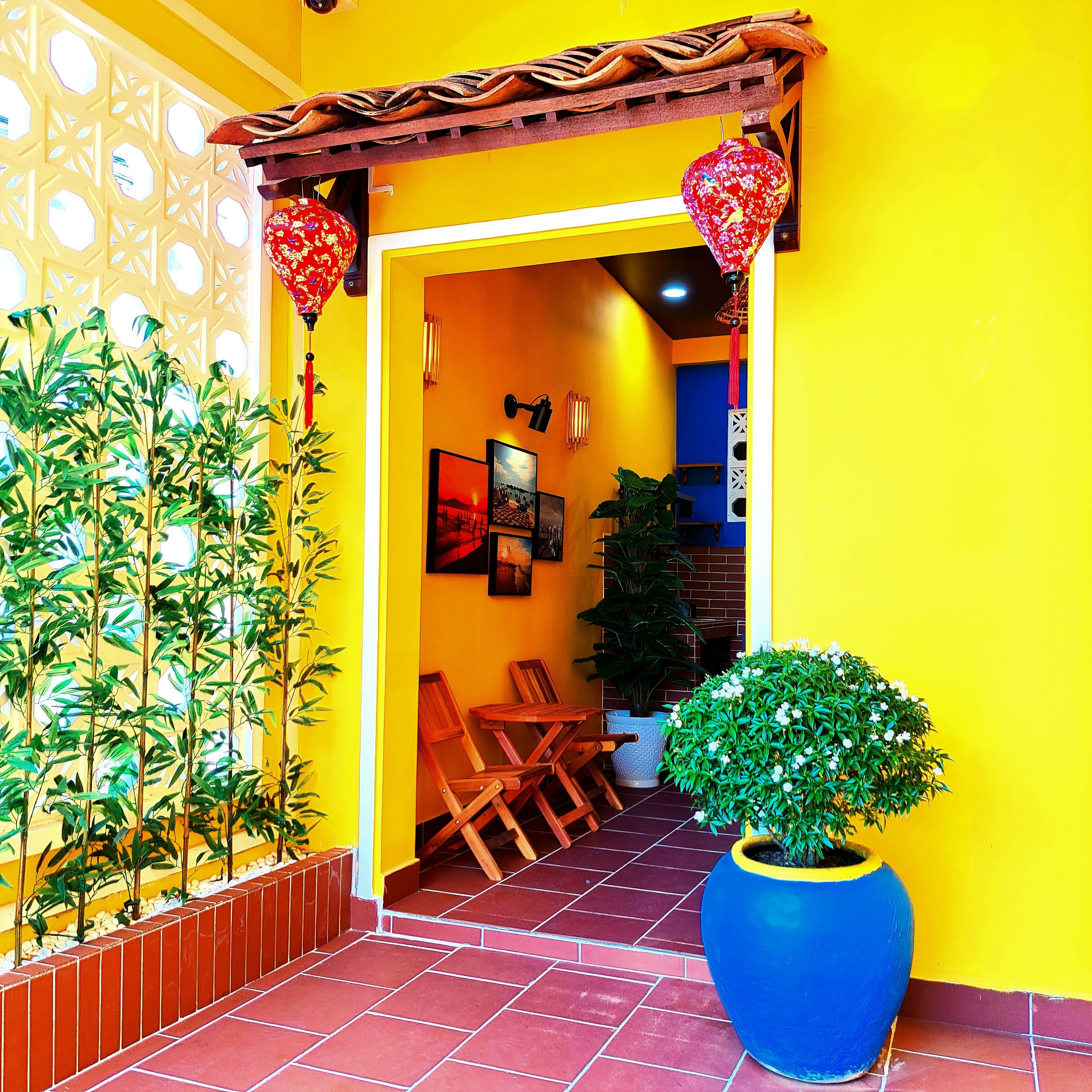 A brightly colored entrance with a tiled floor, a wooden pergola, and a large potted plant.