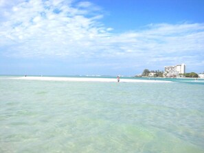 Beach nearby - Gertrude's Siesta | 8-steps to Beach Path! 4-min Dining & Music! Hammocks, Snorkeling, Sunsets (Siesta Key)