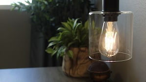 A clear glass pendant light with a visible filament bulb, mounted on a dark base, with a potted plant in the background. - Modern Hideaway: Steps from Sights & City Vibes (Little Rock)