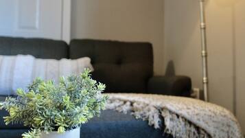 1 bedroom, desk, iron/ironing board, travel crib