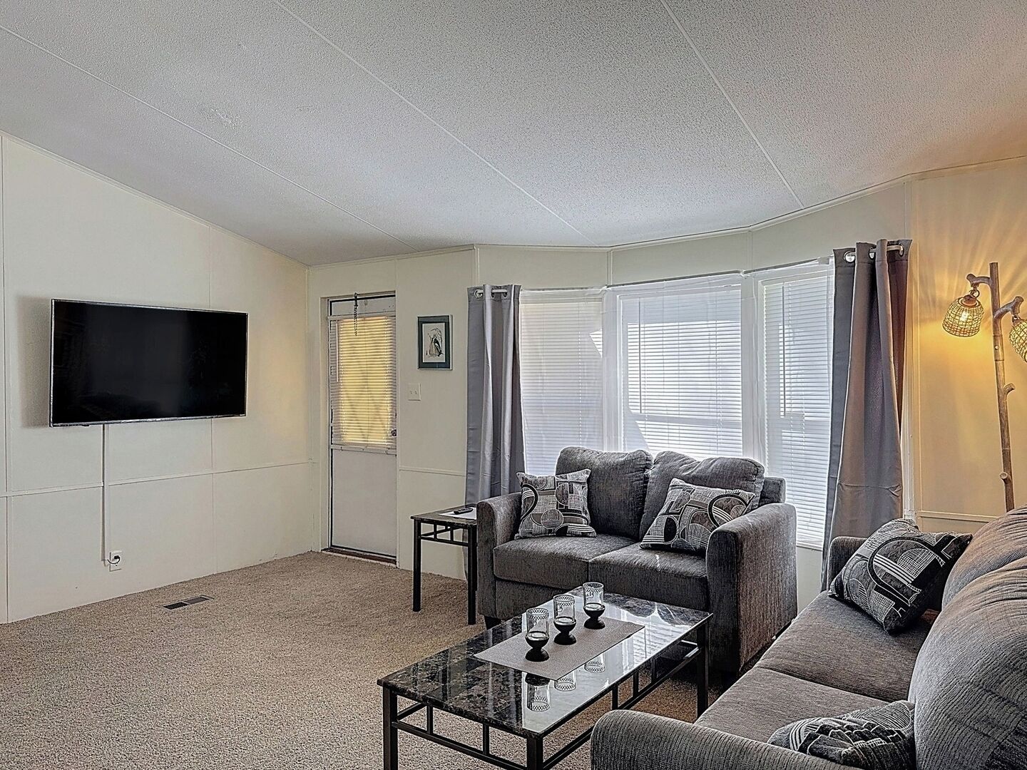 Televisión y libros 