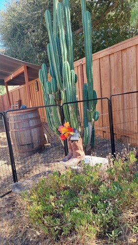 The 5th Wheel Nook. Perfect 1-bedroom, 1 couch bed, sleeps 3 One mil from hwy 15