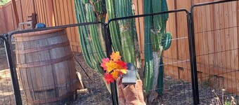 The 5th Wheel Nook. Perfect 1-bedroom, 1 couch bed, sleeps 3 One mil from hwy 15