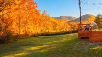 Área da propriedade