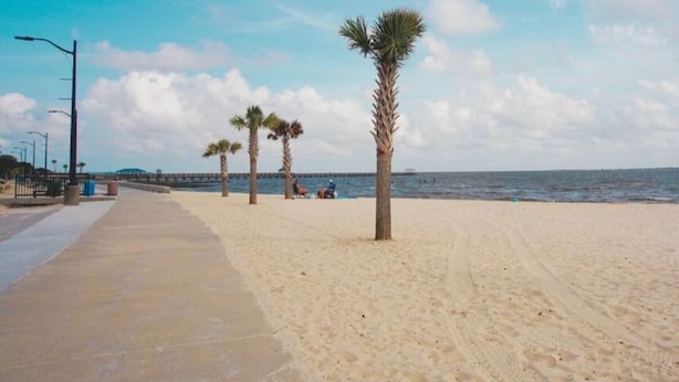 A sandy beach with palm trees and a concrete walkway. - Vibe at The Porter (Ocean Springs)