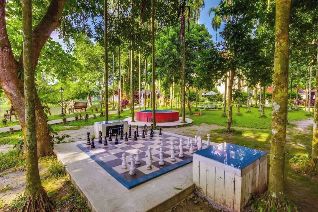 A chessboard set outdoors surrounded by trees.