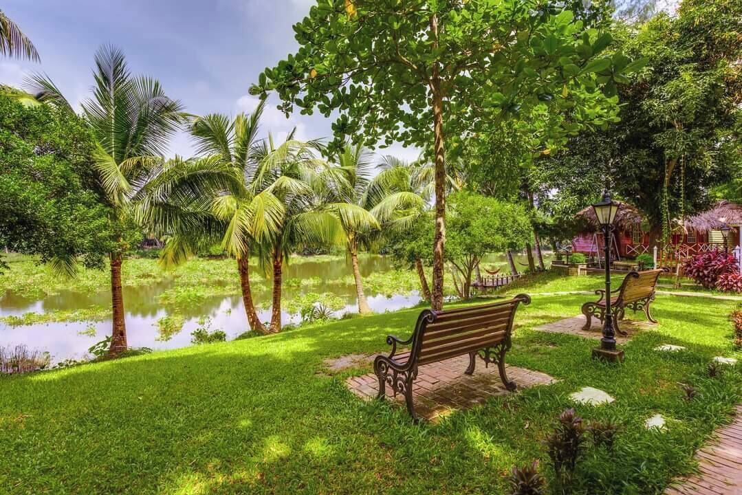 A park with a pond, benches, and palm trees.