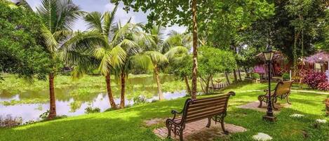 A park with a pond, benches, and palm trees.