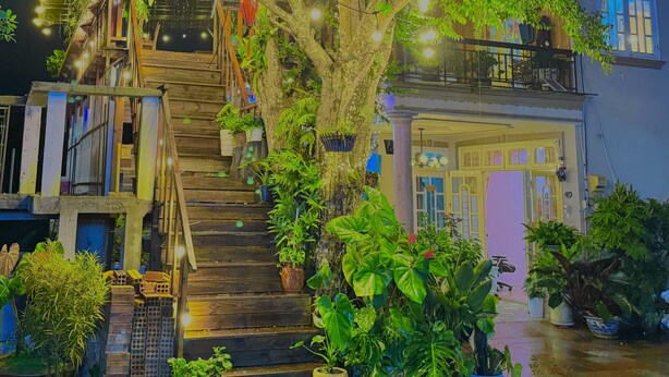 A staircase leading up to a building with a balcony, surrounded by potted plants and string lights. - My Stay 1 Le Van Tam (Xuan Huong - Da Lat)