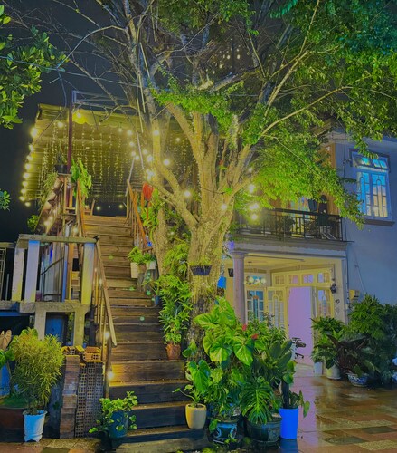 My Stay 1 Le Van Tam