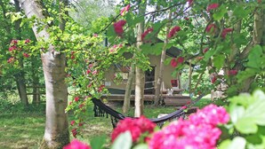 A hammock in a lush garden with trees and a building in the background. - The Apple Bobber - UKC7130 (Cratfield, near Laxfield)