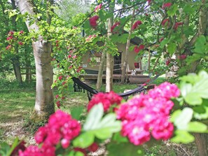 Eine Hängematte in einem üppigen Garten mit Bäumen und einem Gebäude im Hintergrund.