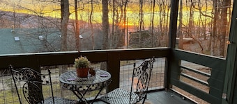 Auntie's Attik - Cabin w Mtn Views & Screened Porch